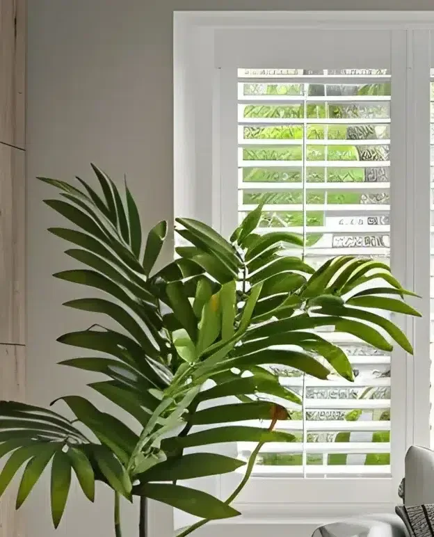BLINDS