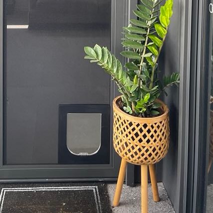 SECURITY DOORS AND SCREENS